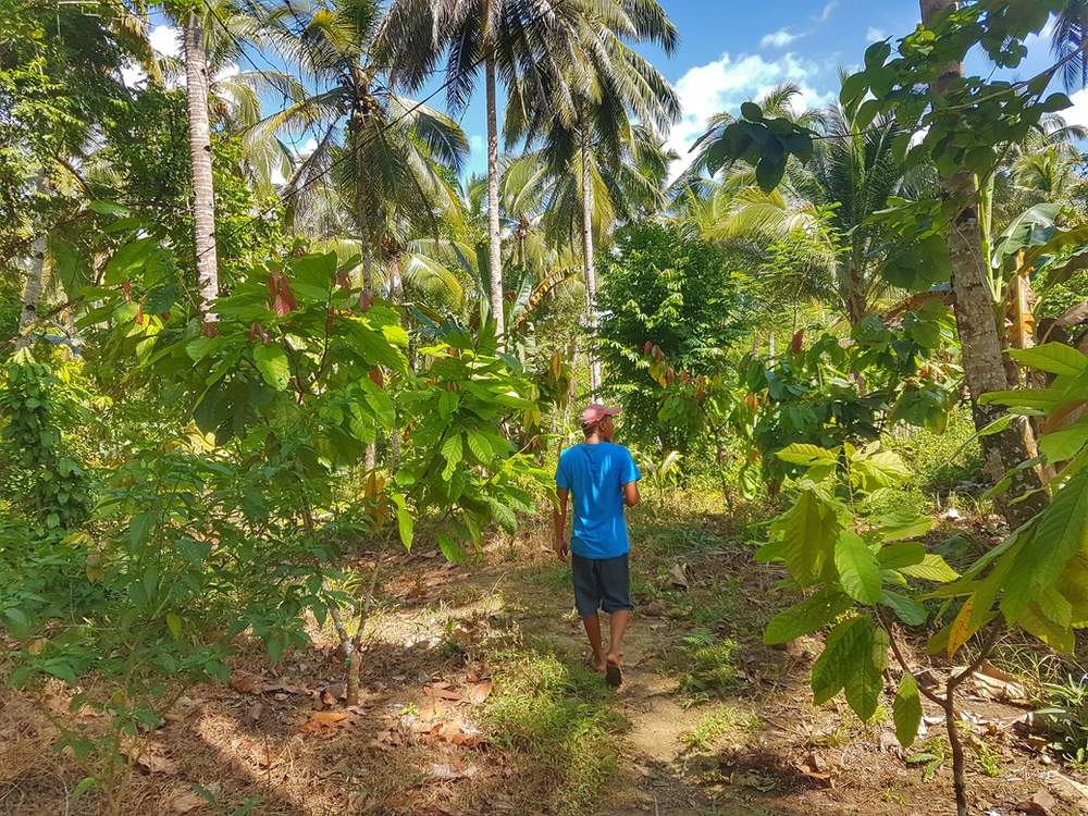 Dan Pedraza, takes us around his OPM enrolled farm during the ocular inspection.